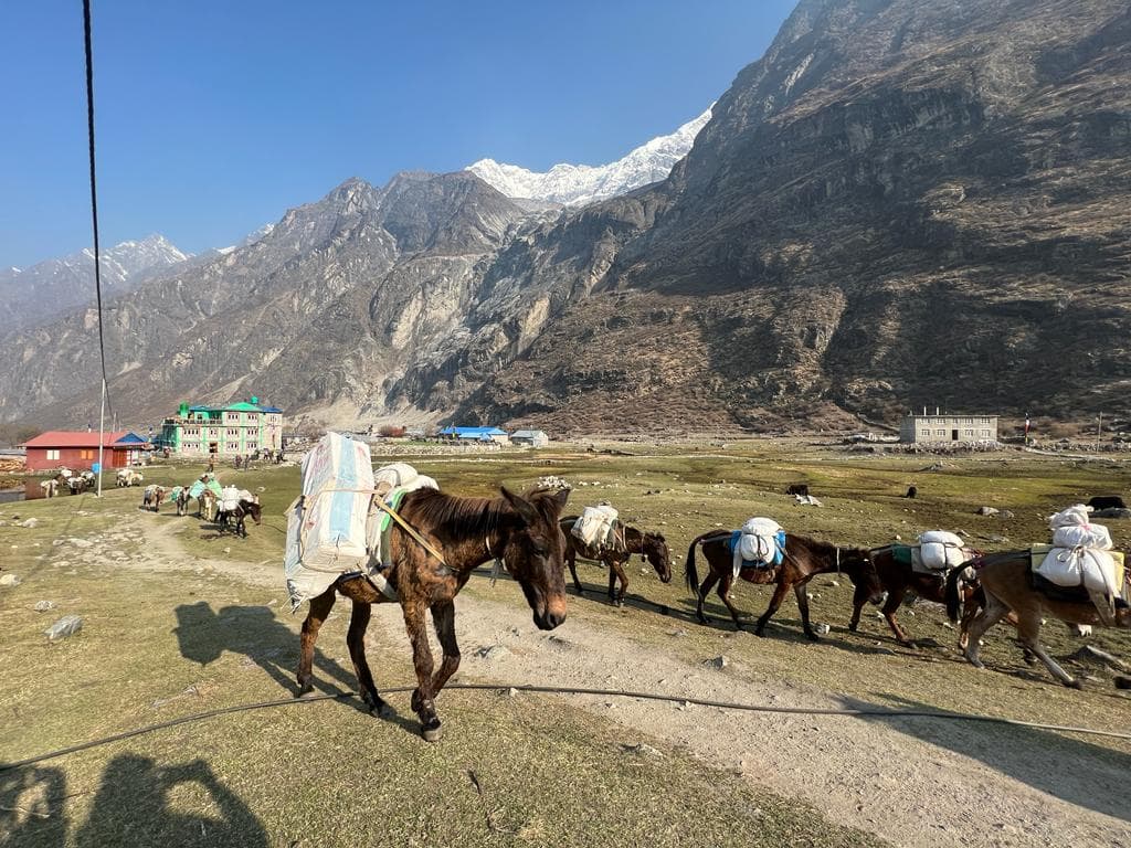 Langtang and Gosaikunda Trek gallery image 2